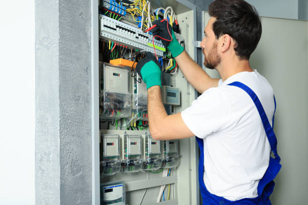 Best Electrical System Inspection  in Pittsville, MD